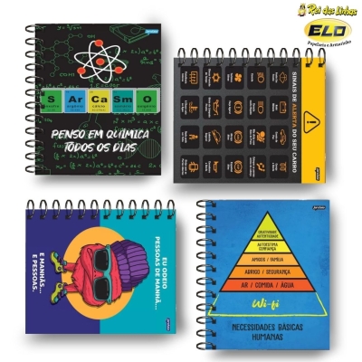 CADERNO JANDAIA ESP UNIV C/D 1MT 80FLS INSANO-