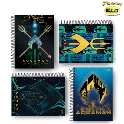 CADERNO JANDAIA ESP UNIV C/D 1MT 80FLS AQUAMAN-