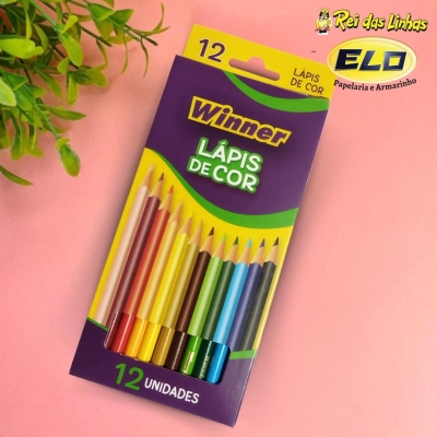 LAPIS DE COR WINNER 12 CORES-