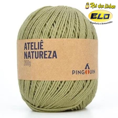 BARBANTE PINGOUIN ATELIE TEX885 200G-1713