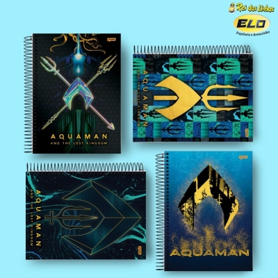 CADERNO JANDAIA ESP UNIV C/D 10MT 160FLS AQUAMAN-